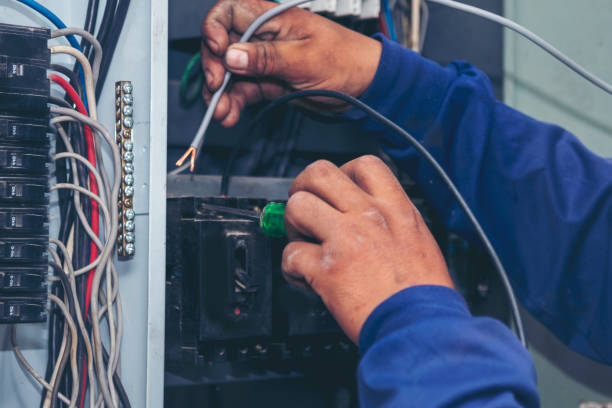 Best Local Electrician Companies  in Eldridge, IA